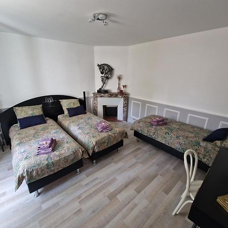 Bleautiful "Alienor" Charmant Appartement Avec Terrasse Fontainebleau Bagian luar foto